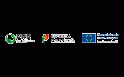 PRR – Descarbonização da Indústria