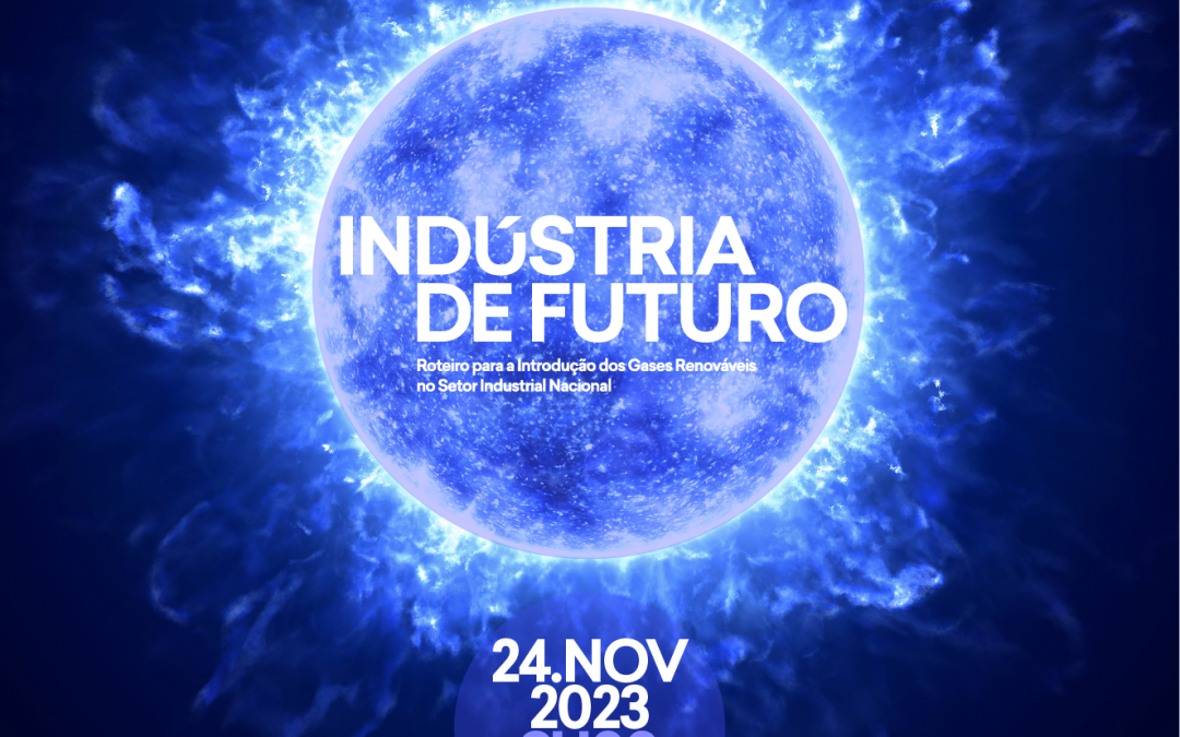 6º Workshop do Projeto “Indústria de Futuro – Roteiro para a Introdução dos Gases Renováveis no Setor Industrial Nacional”