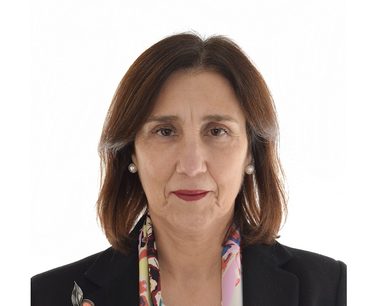 A nova diretiva CSDDD